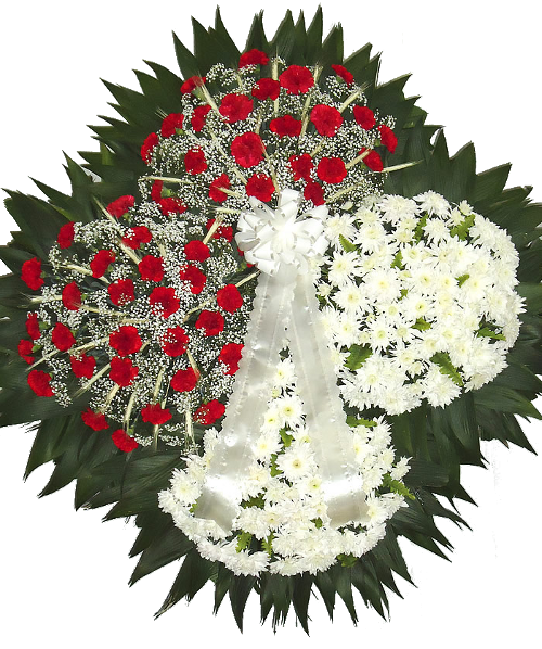 coroa6